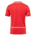 Maillot/Tenue Tunisie Exterieur Coupe du monde 2018